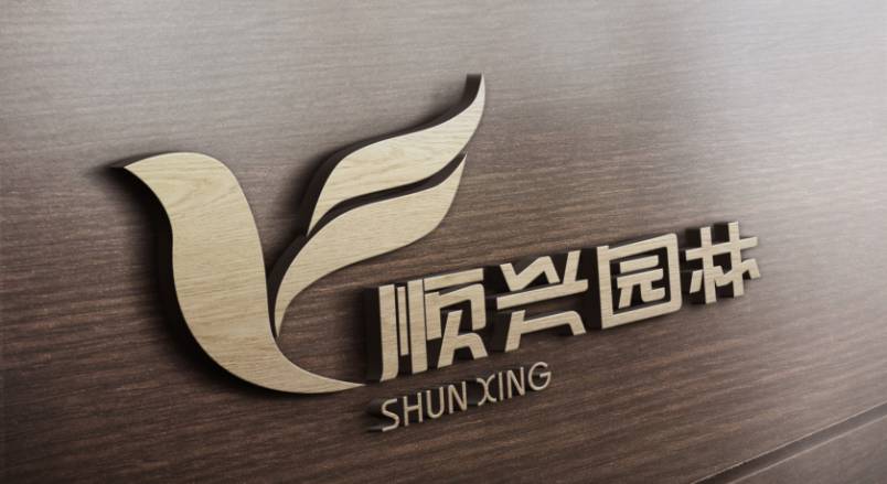 东营VI设计公司：城市视觉形象的专业筑梦者